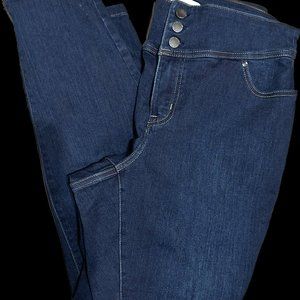 Lane Bryant Jeggings